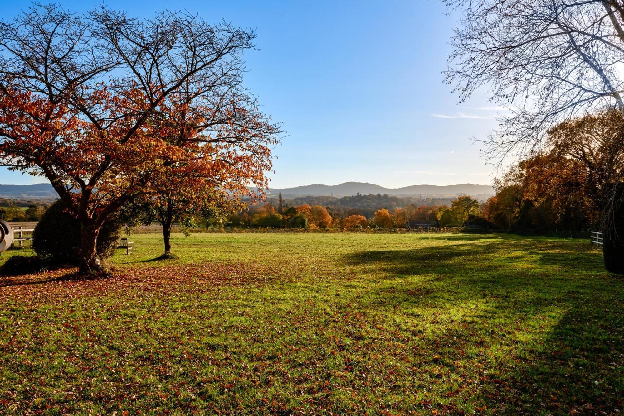 דירות פיטרספילד Garden Flat Near Goodwood With Stunning Views מראה חיצוני תמונה